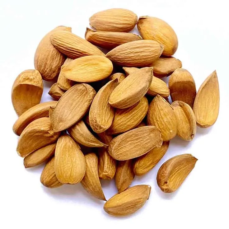 Badam Mamro