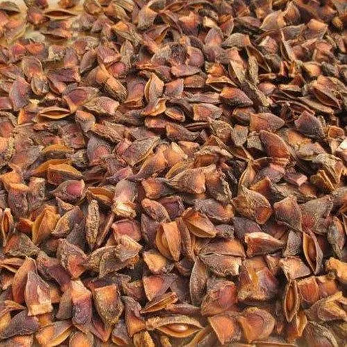 Badayn (Spring Tukadi)