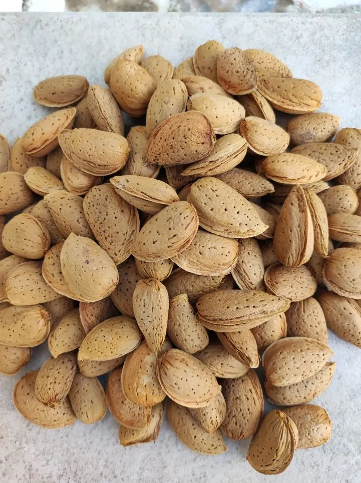 Badam Pooja (Regular)
